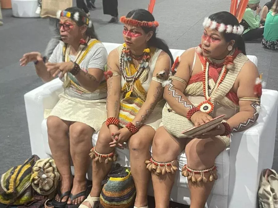 COP30 : La culture, miroir des ravages écologiques