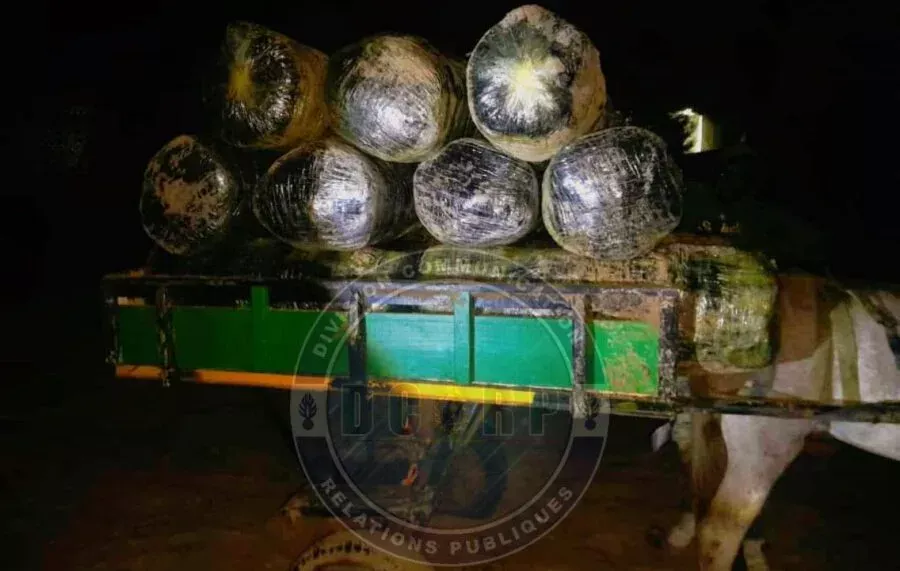 La gendarmerie saisit 600 kg de chanvre indien à Warang
