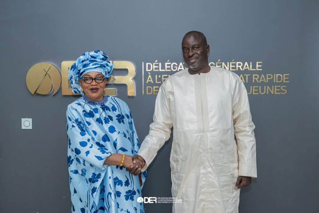 DER/FJ : Abdoulaye Niane poursuit l’œuvre de Dr Aïssatou Mbodj 46,98 milliards FCFA investis dans le financement de l’entrepreneuriat